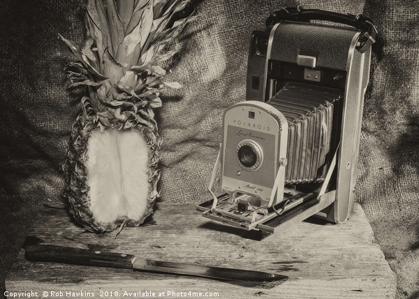 Pineapple Polaroid  Picture Board by Rob Hawkins