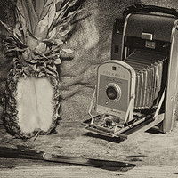 Buy canvas prints of Pineapple Polaroid  by Rob Hawkins