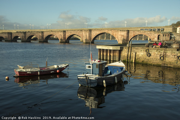 Boats at Berwick  Picture Board by Rob Hawkins