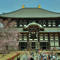 Buy canvas prints of Nara Temple  by Rob Hawkins