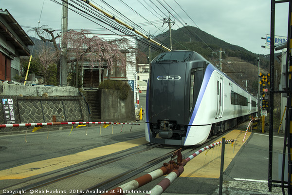Fuji commuter train  Picture Board by Rob Hawkins