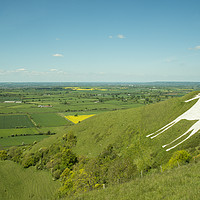 Buy canvas prints of The White Horse of Westbury by Rob Hawkins