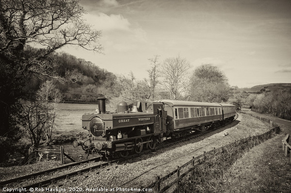 Dart Valley Steam  Picture Board by Rob Hawkins