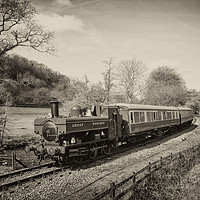 Buy canvas prints of Dart Valley Steam  by Rob Hawkins