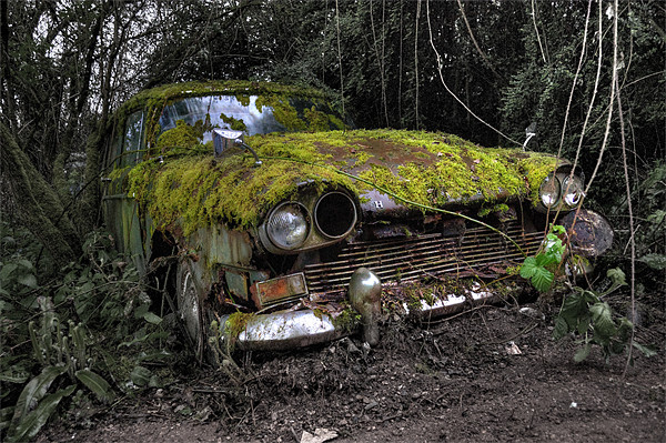A (non) rolling car gathers some moss Picture Board by Rob Hawkins