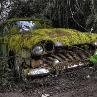 Buy canvas prints of A (non) rolling car gathers some moss by Rob Hawkins