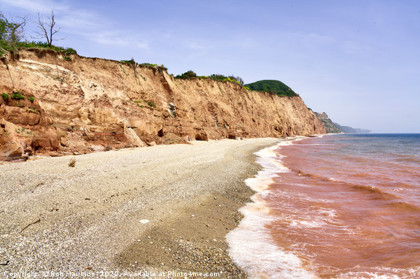 Red Sea of Sidmouth Picture Board by Rob Hawkins