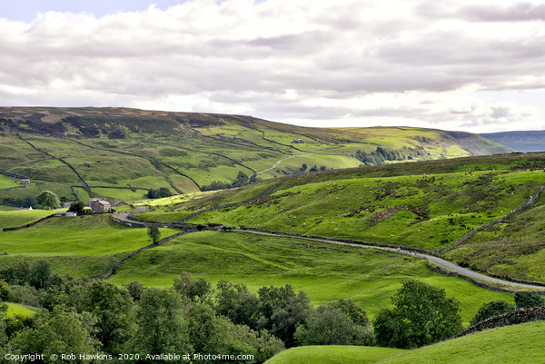 Stonesdale Landscape  Picture Board by Rob Hawkins