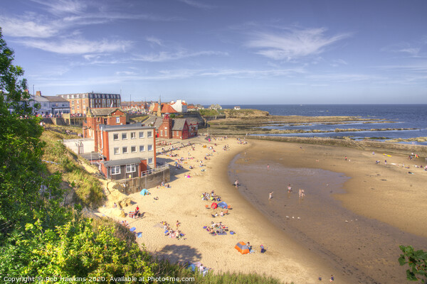 Cullercoats Bay Picture Board by Rob Hawkins