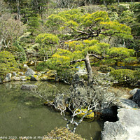Buy canvas prints of Kyoto Garden  by Rob Hawkins
