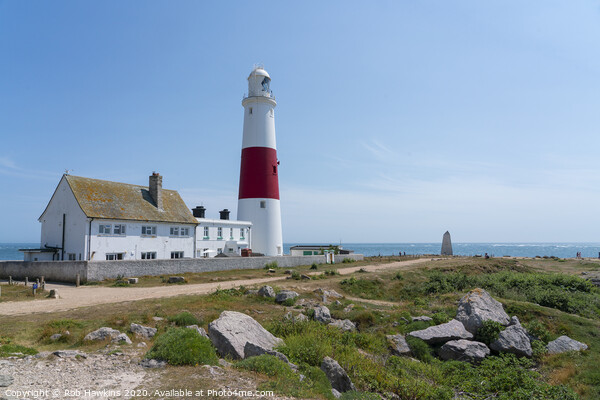 Portland Bill Lighthouse Picture Board by Rob Hawkins