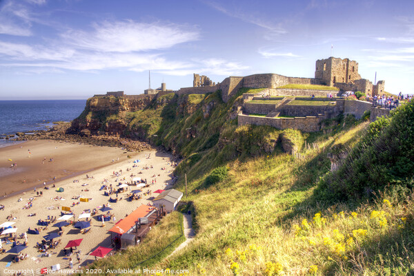 Tynemouth Castle Beach Picture Board by Rob Hawkins