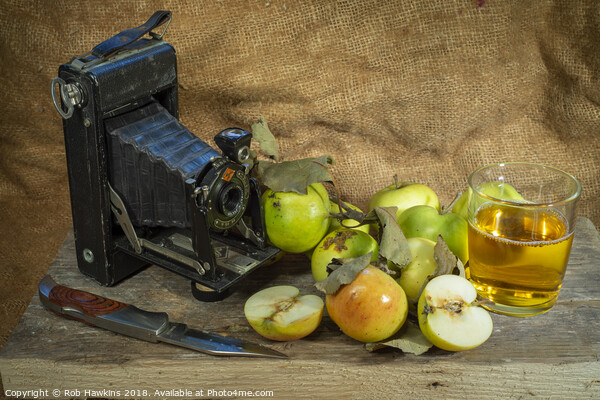 Agfa and the apples  Picture Board by Rob Hawkins