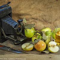 Buy canvas prints of Agfa and the apples  by Rob Hawkins