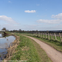 Buy canvas prints of Cogload CrossCountry Canal  by Rob Hawkins