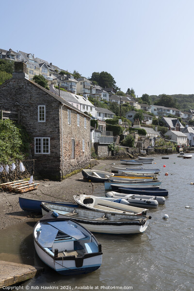 Rowing Boats at Noss Mayo Picture Board by Rob Hawkins