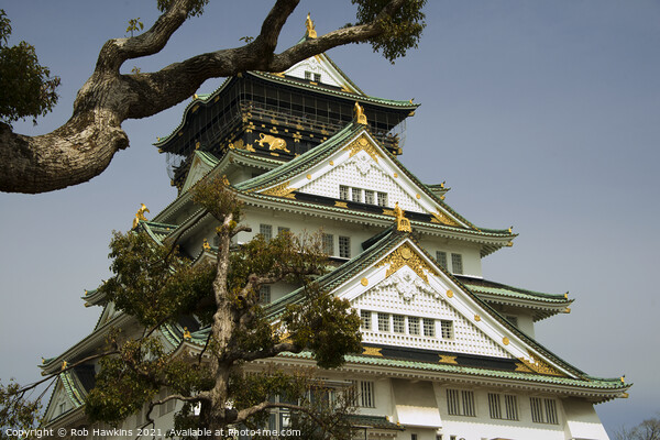 Osaka Castle Picture Board by Rob Hawkins