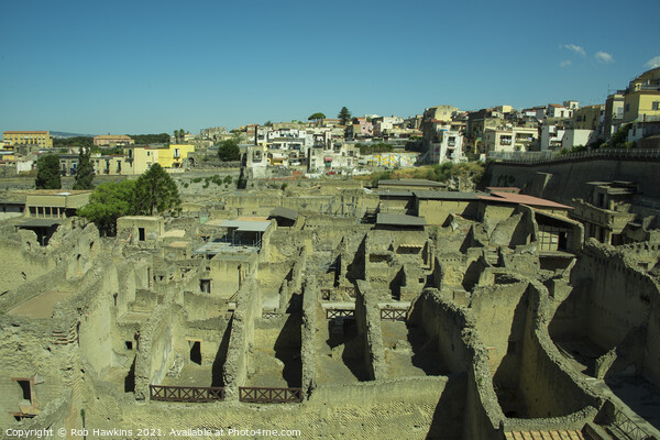 Herculaneum Remains  Picture Board by Rob Hawkins