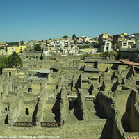 Buy canvas prints of Herculaneum Remains  by Rob Hawkins