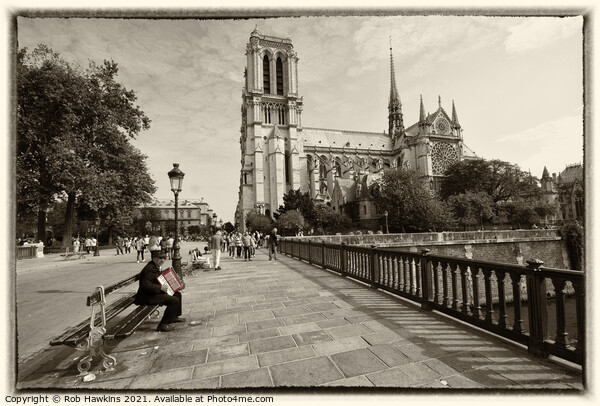 Notre Dame accordionist Picture Board by Rob Hawkins