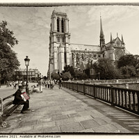 Buy canvas prints of Notre Dame accordionist by Rob Hawkins