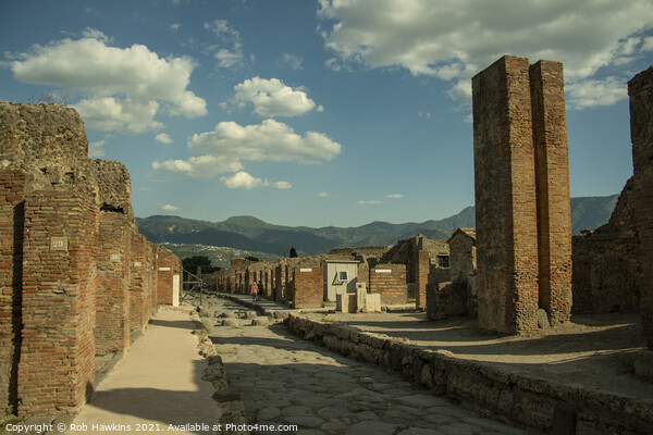 Pompeii Street  Picture Board by Rob Hawkins