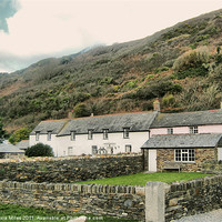 Buy canvas prints of Boscastle Cottages by Alexia Miles