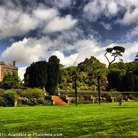 Buy canvas prints of Tapeley Park by Alexia Miles