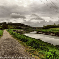 Buy canvas prints of Barnstaple Cycle Path by Alexia Miles