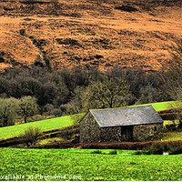 Buy canvas prints of Exmoor Little Barn by Alexia Miles