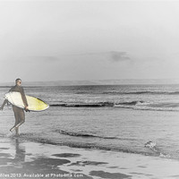 Buy canvas prints of Surfing by Alexia Miles