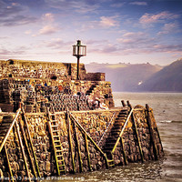 Buy canvas prints of Clovelly by Alexia Miles
