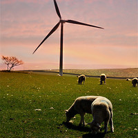 Buy canvas prints of Wind Turbine by Alexia Miles