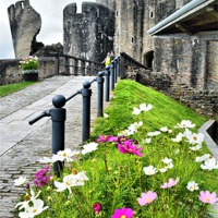 Buy canvas prints of Caerphilly Castle 2 by Alexia Miles