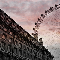 Buy canvas prints of Eye of London by Alexia Miles