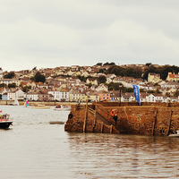 Buy canvas prints of Instow Village by Alexia Miles