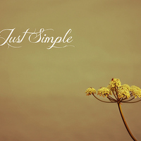 Buy canvas prints of  Just Simple by Alexia Miles