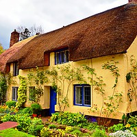 Buy canvas prints of Chocolate box Cottage  by Alexia Miles