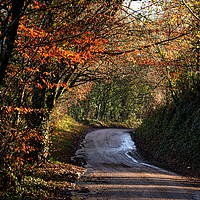 Buy canvas prints of Autumn country lane by Alexia Miles