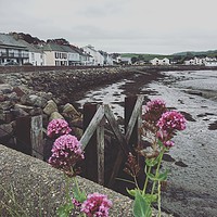Buy canvas prints of Instow by Alexia Miles