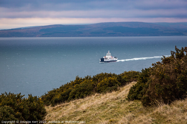 MV Catriona ferry, Lochranza Bay, Arran Picture Board by Douglas Kerr