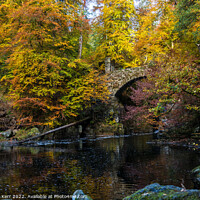 Buy canvas prints of Autumn colours at The Hermitage by Douglas Kerr