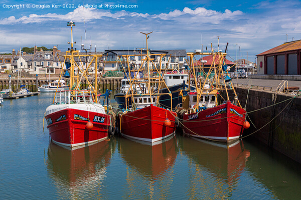 Fishing boats, Arbroath harbour Picture Board by Douglas Kerr