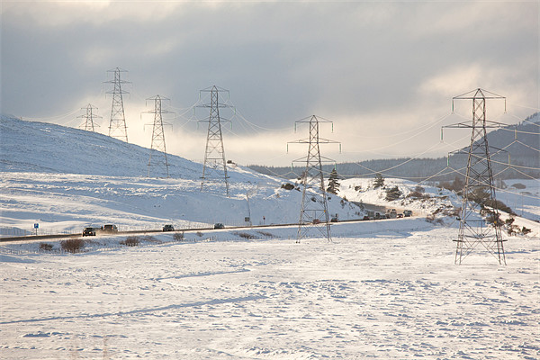 Winter Pylons in Scottish Highlands Picture Board by Douglas Kerr