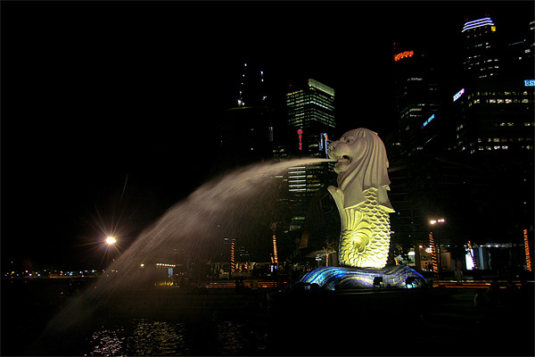 Merlion sculpture in Singapore at night Picture Board by Douglas Kerr
