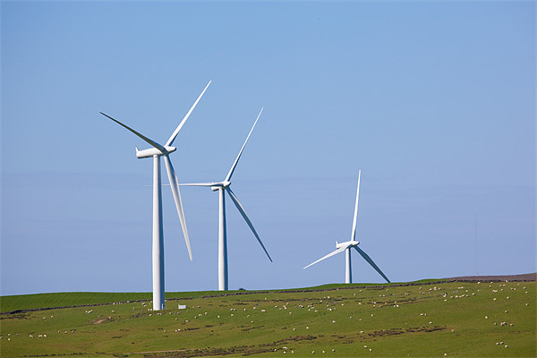 Hadyard wind farm, near Girvan, Ayrshire Picture Board by Douglas Kerr
