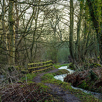 Buy canvas prints of Countryside path Barry Mill by Douglas Kerr
