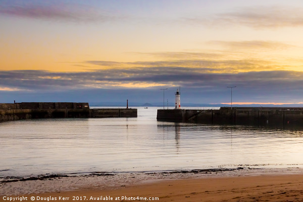 Dusk at Anstruther Harbour Picture Board by Douglas Kerr