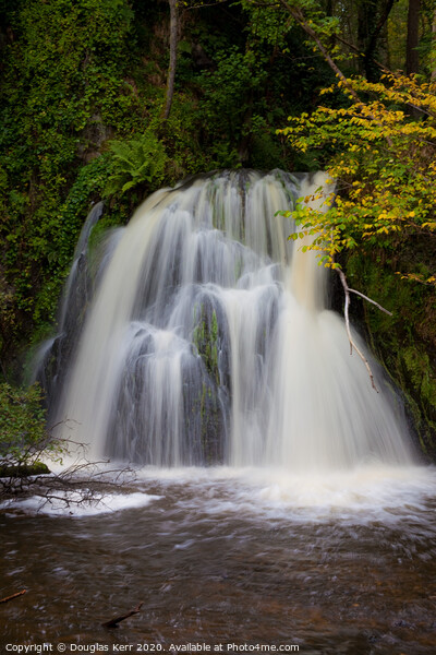 Waterfall Fairy Glen Rosemarkie Picture Board by Douglas Kerr
