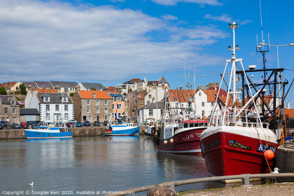 Pittenweem harbour fishing boats Picture Board by Douglas Kerr